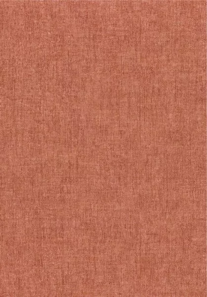 Diola 75151426 Blush