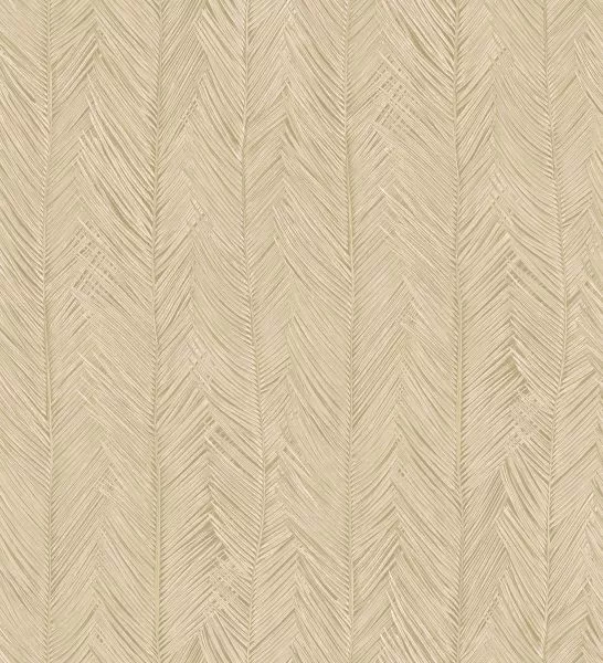 Itaya 75401 Coquille