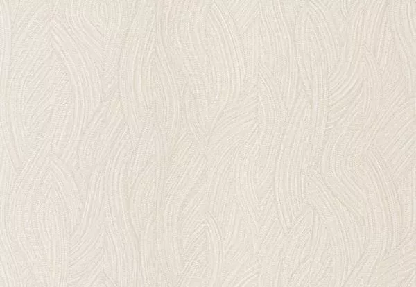 Jassine 76220916 Ivoire