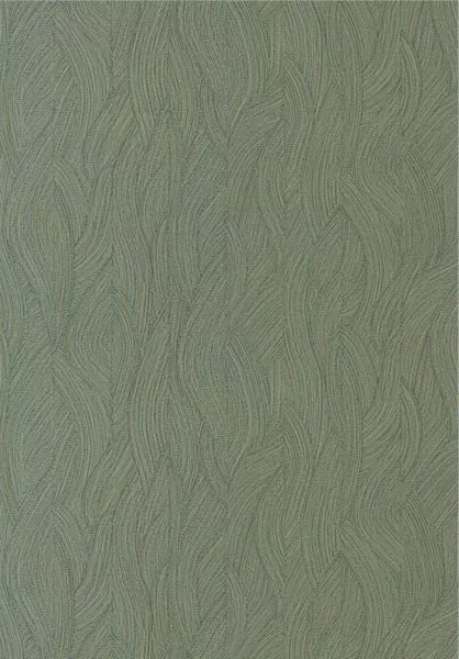 Jassine 76221222 Cyprès