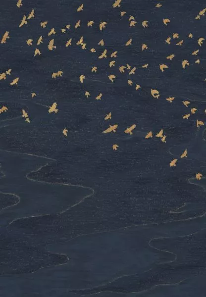 Migration 76730610 Marine/doré