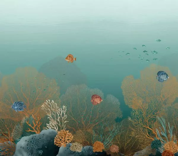 Polynesie 76791936 Caraïbes/multico