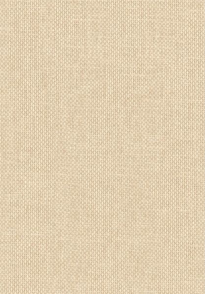 Vannora 76921630 Coquille