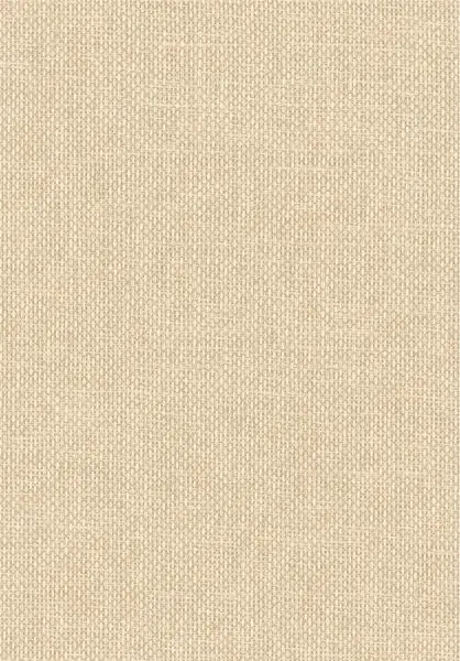 Vannora 76921630 Coquille