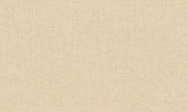 Vannora 76921630 Coquille