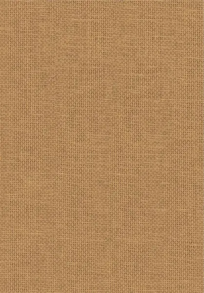 Vannora 76921936 Camel
