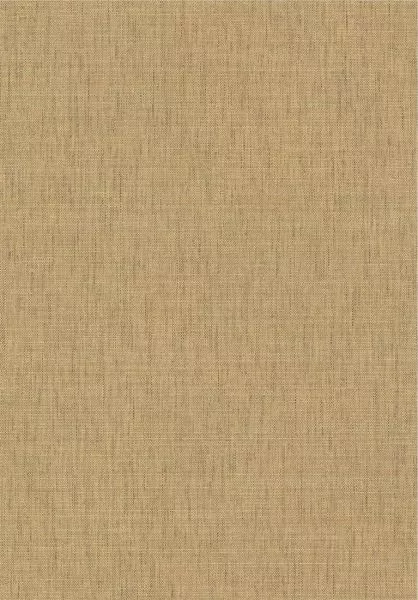 Fibra 76954384 Camel