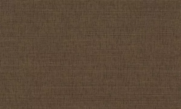 Fibra 76954996 ébène