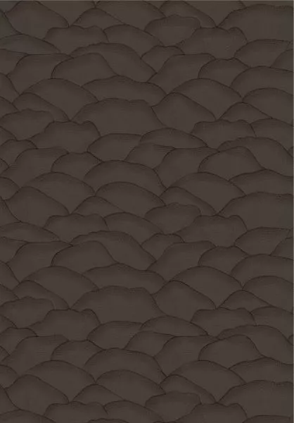 Ondula 76971732 ébène