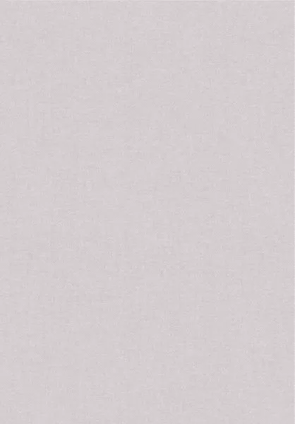 Lin 78048 Gris Brouillard