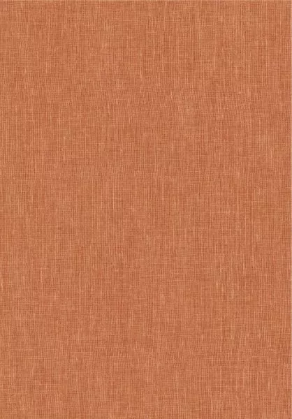 Lin Normandie 78231 Hotchips