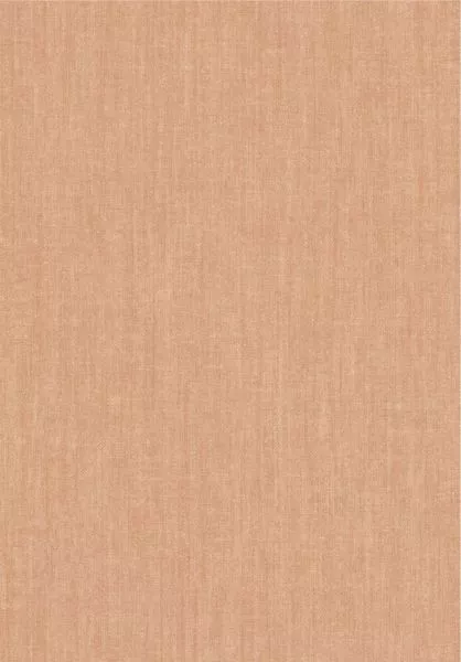 Terre de Lin 78250 Tatami