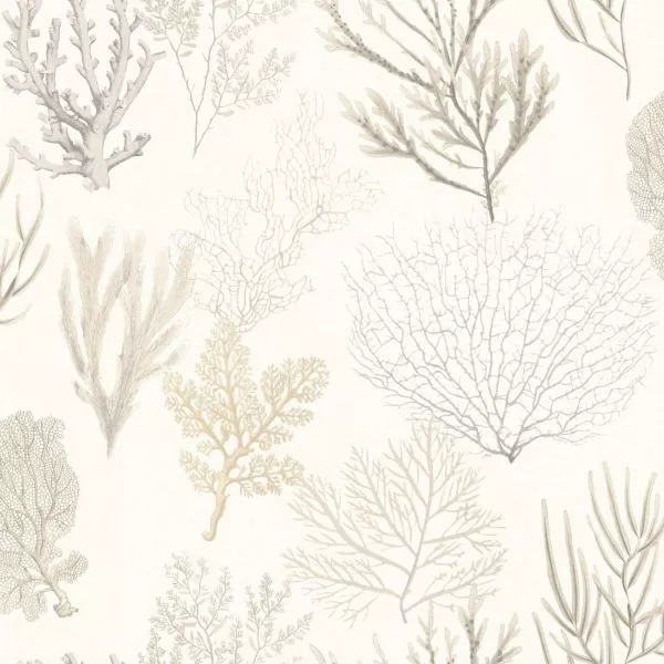 Corail 83971120 Beige