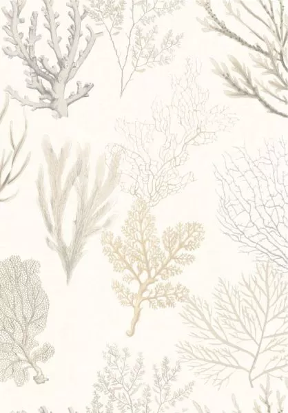 Corail 83971120 Beige