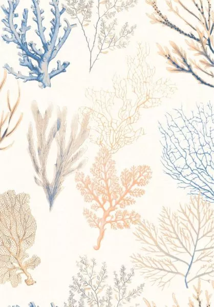 Corail 83976202 Bleu