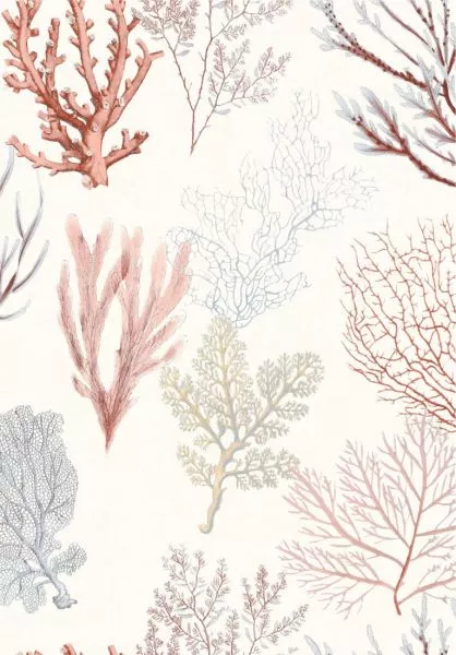 Corail 83978121 Rouge