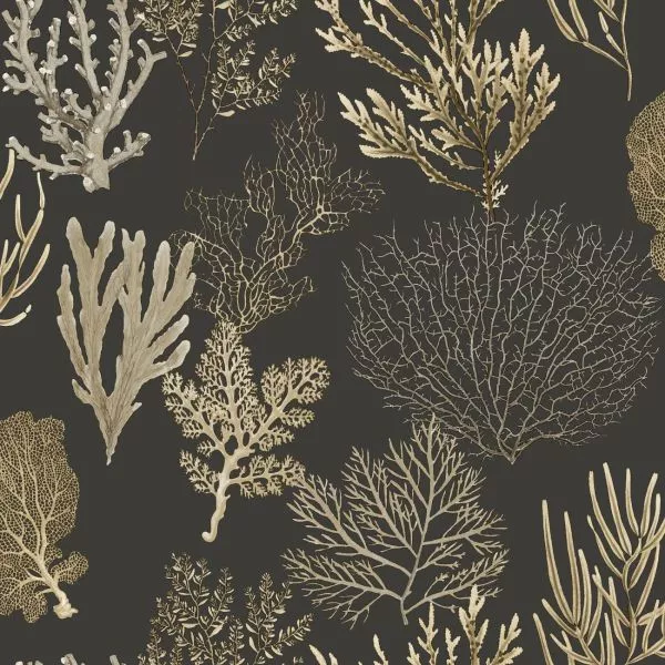 Corail 83979808 Noir fusain