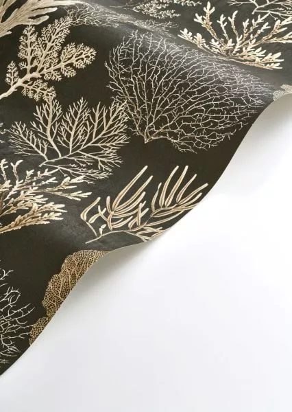 Corail 83979808 Noir fusain