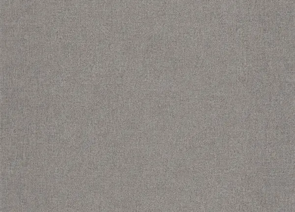 Empreinte 88709631 Gris etain