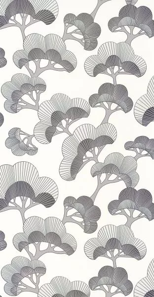 Kyoto Goyo Matsu 88719211 Noir fusain