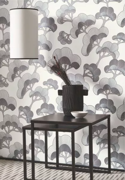 Kyoto Goyo Matsu 88719211 Noir fusain