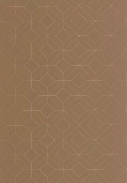 Alchimie Precision 89962874 Chamois