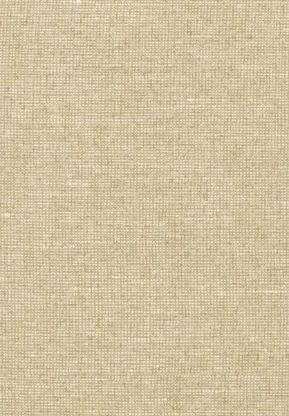 Essentials Chanderi 91504 Almond