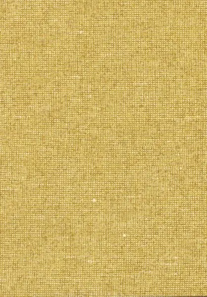 Essentials Chanderi 91505 Merigold