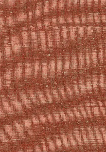 Essentials Chanderi 91509 Pimento