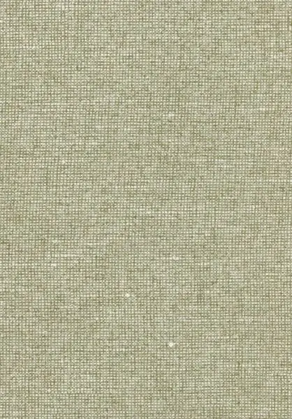 Essentials Chanderi 91511 Pistachio