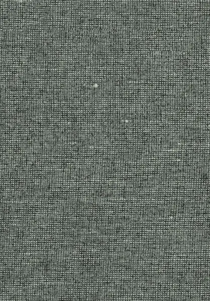 Essentials Chanderi 91514 Smokey Green