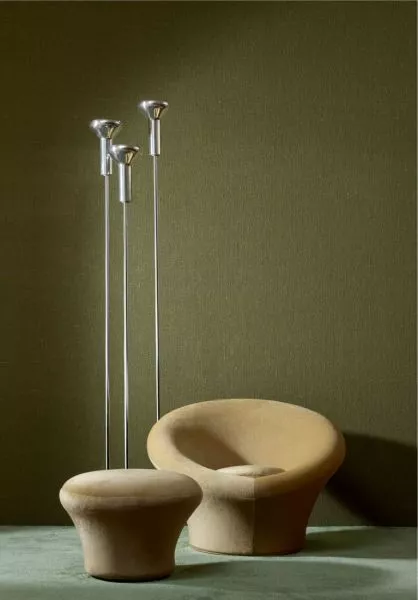 Étamine 29250 Oregano