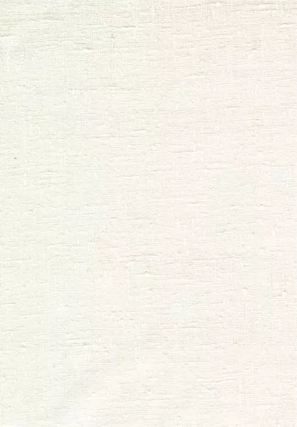 Étamine 29256 Pillow