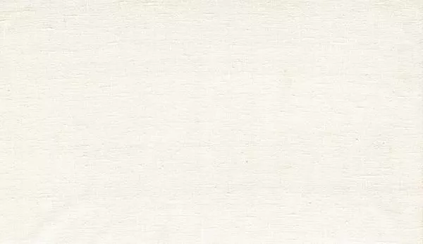 Étamine 29256 Pillow