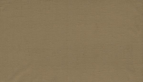 Étamine 29258 Coconut