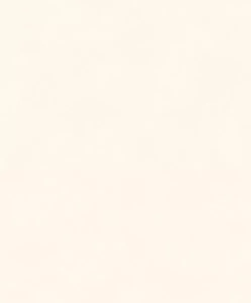 Color Oyster BLONE1006