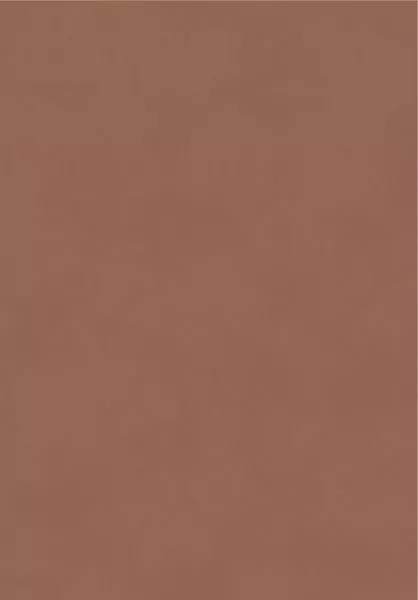 Color Terra BLONE1013