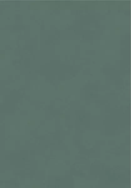 Color Pine BLONE1015