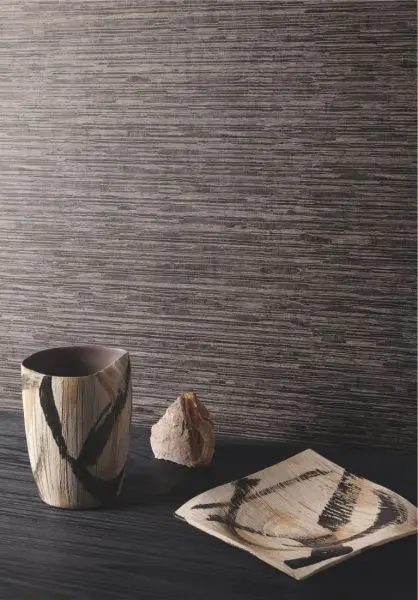 Stria meteorite CAL301