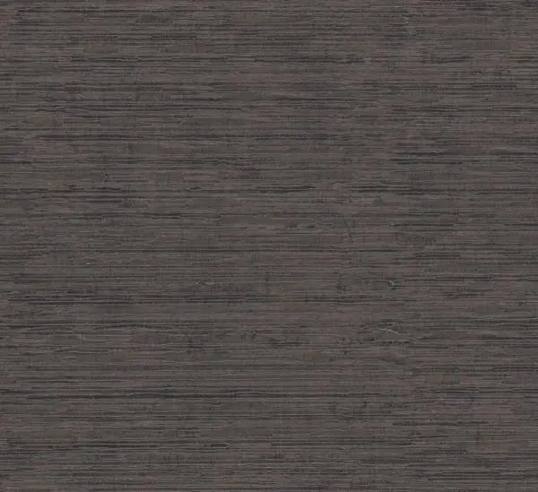 Stria meteorite CAL301