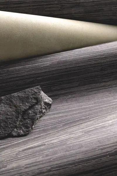 Stria meteorite CAL301