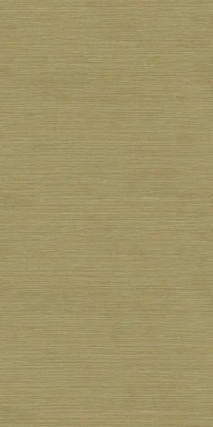 Safra 78212854 Cactus