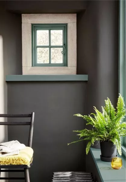 Vulcan 324, Livid 263