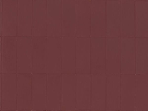 Paladin 27455 Nightfall