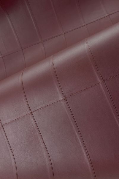 Paladin 27455 Nightfall