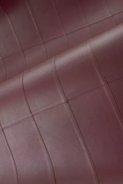 Paladin 27455 Nightfall