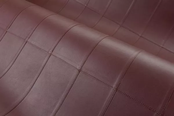 Paladin 27455 Nightfall