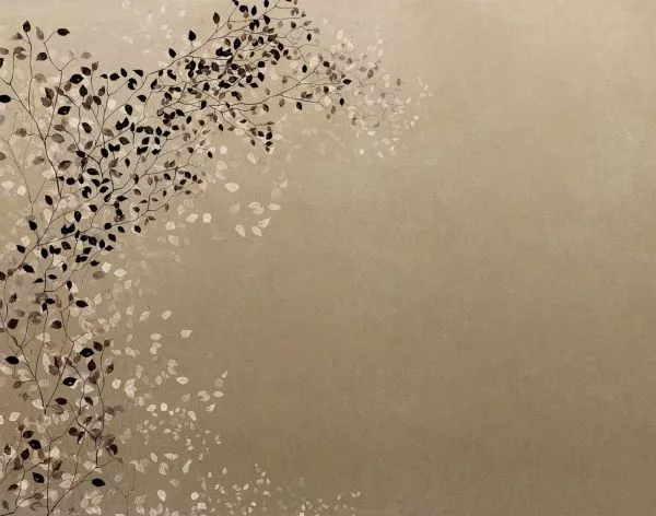 Climber DG3CLI102 Coffee