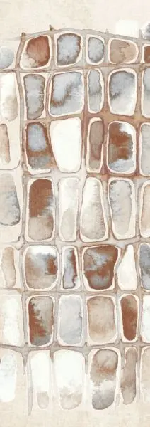 Salina Russet DGERO201-260