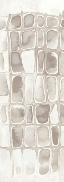 Salina Salt DGERO202-260